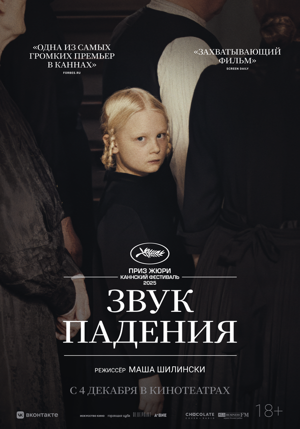 Постер к Звук падения